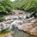 산청(통영) 이미지