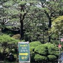 수지 신봉동 연지한정식 평일런치 후기 가족모임 장소 추천