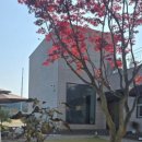 제줏간원주 | 원주 제줏간 방문 후기 — 제주 감성 제대로 느끼고 온 하루