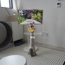 고양이 미용&호텔 뽀냥 이미지