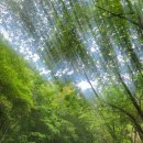 유포리아 | 🌿 평창 유포리아 캠핑장 후기 – 무더위 속 유일하게 시원했던 기억