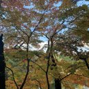 프롬모니카 | <사랑의 기술> 에리히 프롬 독서모임 후기 (2)