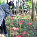 정남진 편백숲 우드랜드 이미지