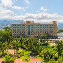 팜파스리조트 이미지