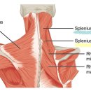 명작한의원 이미지