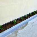 바다향기민박 이미지