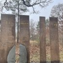 장계 | 옥천읍 장계관광지 방문 후기 벚꽃구경 추천