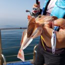 산남스테이 이미지