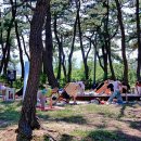 연곡해변 솔향기캠핑장 이미지