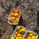 미성민박 이미지