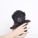 키즈멍 안양본점 이미지