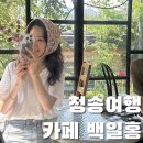 이수치과기송소 | [청송 여행] 덕천마을 송소고택 근처 카페 추천, 백일홍