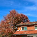 용산-이촌-185 이미지