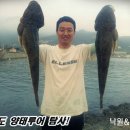 (주)가덕 Daum카페