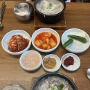 괴물떡볶이 | 느그종호랑 제주도 한달살이 후기