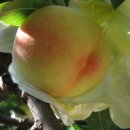 덕우농장 이미지