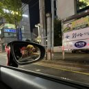 안녕하개 | 냉정 주례 애견호텔 안녕하개 후기