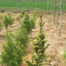 한길농원 이미지