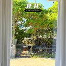 햇살정원 제주캠핑민박 | 제주 동쪽 숙소 표선하루담 감성적인 제주도 독채 민박 펜션 추천