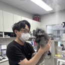 정직 동물병원 이미지