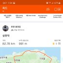 나른한 당근 이미지