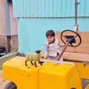 다영목장 이미지