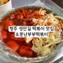 소문난매운떡볶이 | 청주 성안길 로컬 맛집 소문난부부떡볶이 + 분말소스 후기