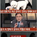 짬뽕 빈 그릇 내놨다가 대참사. 이미지