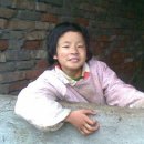 돼지우리 이미지