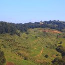 연강나룻길 A코스 이미지