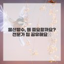 건설페인트