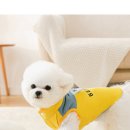 귀빈애견 이미지