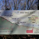 제주 오름 산책 이미지