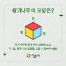 수학나무수학학원