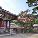 돈암서원 책판 이미지