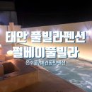 태안 풀빌라 펜션 추천 펄베이풀빌라 애견동반펜션 / 모켄A02 내돈내산 후기