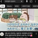 11545-06-25-12 | 2025년도 12월 JLPT N5 시험후기 (부제:노베이스 도전기)