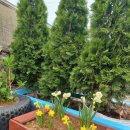 솔바다민박 이미지