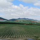 섬 - 대지의 노래 이미지