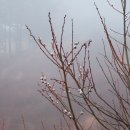 갈골농장 이미지