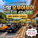 형제지프 | 단양 아이와 가볼 만한 곳｜오무아무아 미니지프 ATV 체험 후기 (공룡 오프로드 추천)