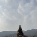 스테이 소유 이미지