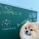 설악의 정원 이미지