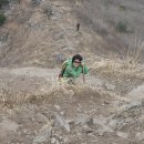 시종중학교 이미지