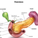 삼성이앤혁의원 이미지