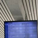 [스페인 교환학생] 유흥과 쾌락의 도시... Gangsterdam