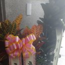 (주)킴블스 이미지