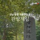 황강리 제방 벚나무 가로수 | 전남 담양여행 국수거리가 있는 천연기념물 관방제림