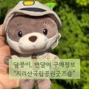 달콩이 | 지리산국립공원굿즈숍 • 달콩이 반달이 키링 구매후기 • 사는 방법 • 내돈내산
