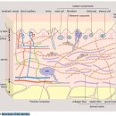 진피층 dermis의 구조, 기능에 대해서(진정한 fascial layer) - 좋은 자료의 모음 이미지